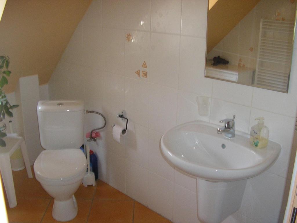 Apartments Nicol カルロヴィ・ヴァリ 部屋 写真