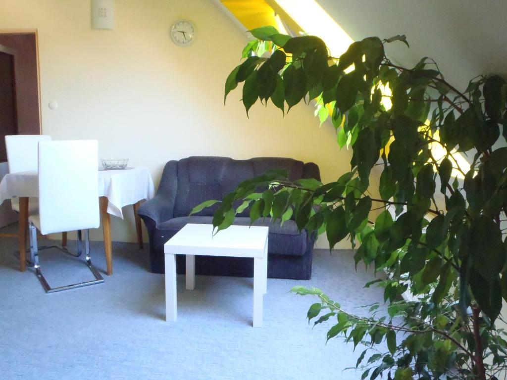 Apartments Nicol カルロヴィ・ヴァリ 部屋 写真