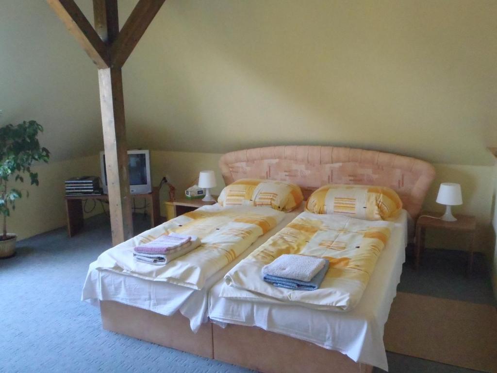 Apartments Nicol カルロヴィ・ヴァリ 部屋 写真